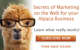 alpaca-newsletter.jpg