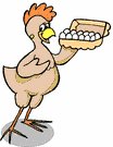 chicken%20holding%20eggs%20in%20box.jpg