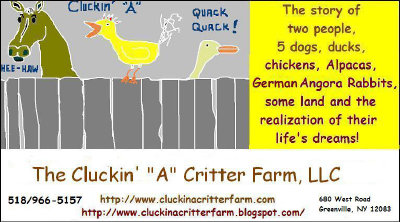 cluckin%20a%20critter%20farm002012.jpg