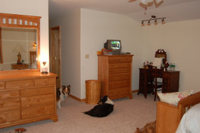 cluckin%20a%20critter%20farm009004.jpg