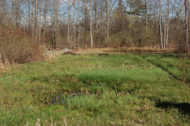 cluckin%20a%20critter%20farm010004.jpg