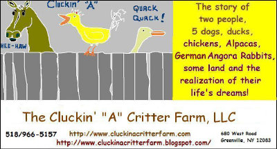 cluckin%20a%20critter%20farm014016.jpg