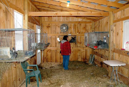 cluckin%20a%20critter%20farm016017.jpg