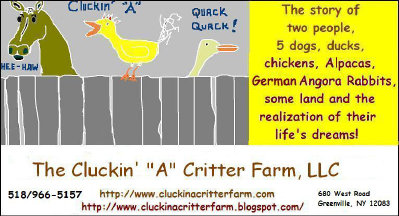 cluckin%20a%20critter%20farm017014.jpg