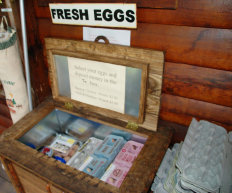 cluckin%20a%20critter%20farm018014.jpg