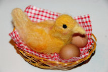 cluckin%20a%20critter%20farm020012.jpg