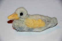 cluckin%20a%20critter%20farm020015.jpg