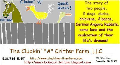 cluckin%20a%20critter%20farm020018.jpg