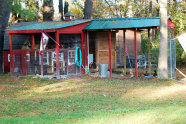 cluckin%20a%20critter%20farm020031.jpg