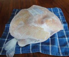 cluckin%20a%20critter%20farm021008.jpg