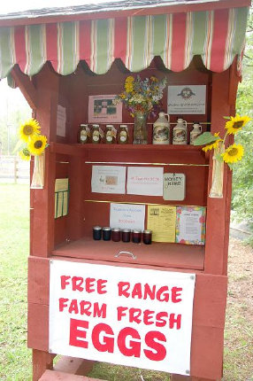 cluckin%20a%20critter%20farm024010.jpg