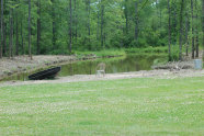 cluckin%20a%20critter%20farm027020.jpg
