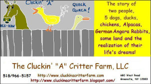 cluckin%20a%20critter%20farm028008.jpg