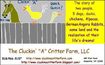 cluckin%20a%20critter%20farm030010.jpg