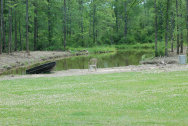 cluckin%20a%20critter%20farm033027.jpg