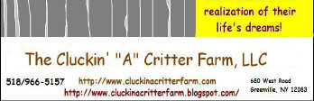 cluckin%20a%20critter%20farm036008.jpg