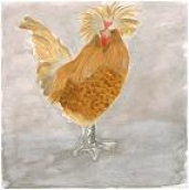 cluckin_a_critter_farm,_llc014016.jpg