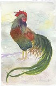 cluckin_a_critter_farm,_llc014048.jpg