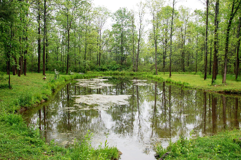 pupskill%20bay%20lake%20pond.jpg.jpg