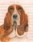 ~basset-hound%20dog.jpg